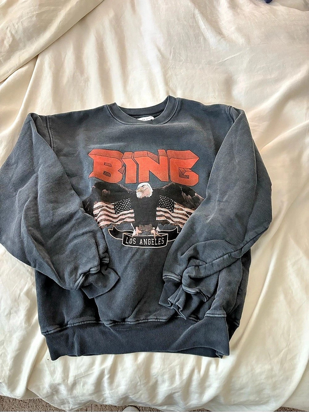 ANINE BING Vintage Bing Sweatshirt